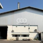 Industrial Land & Factory Complex for Sale